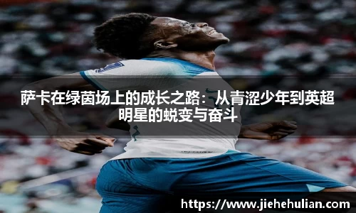 k1体育十年品牌官网